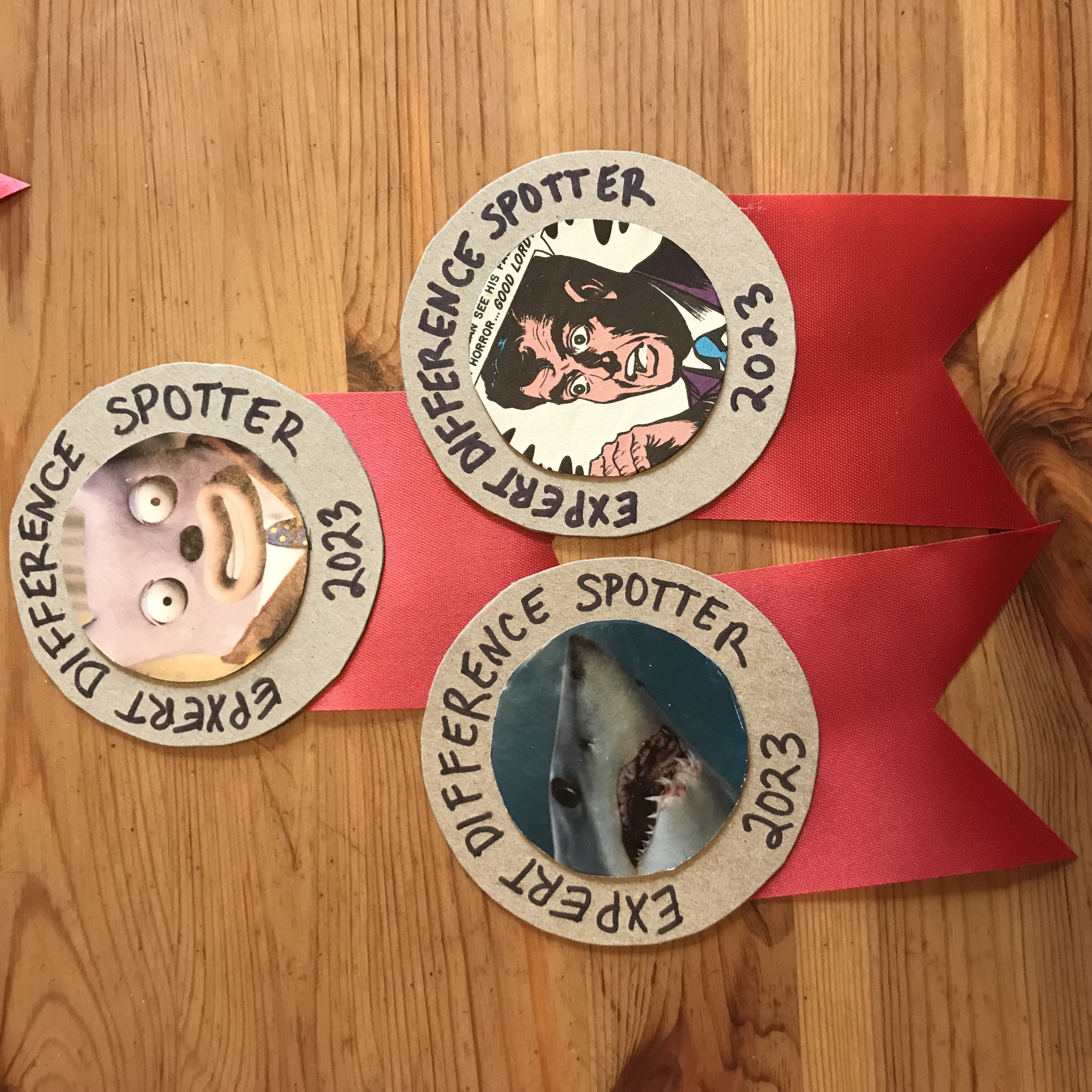 Expert Difference Spotters