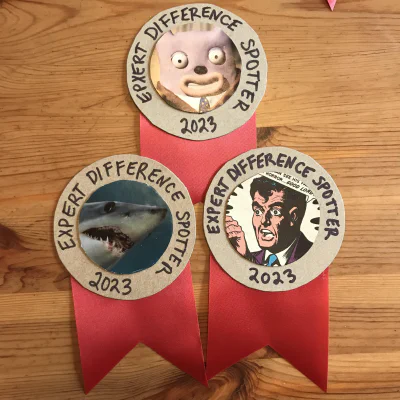 Expert Difference Spotters