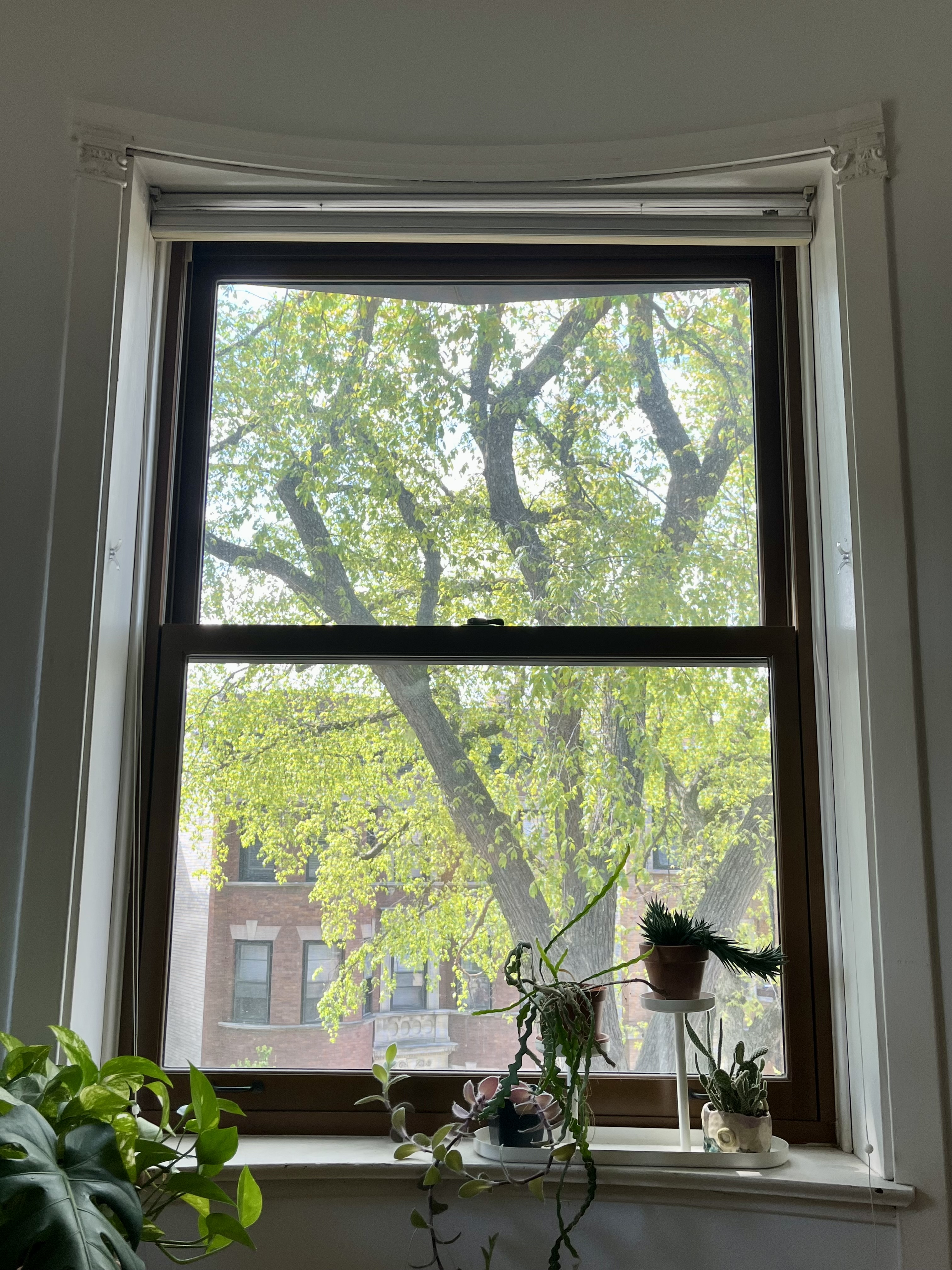 View from our window