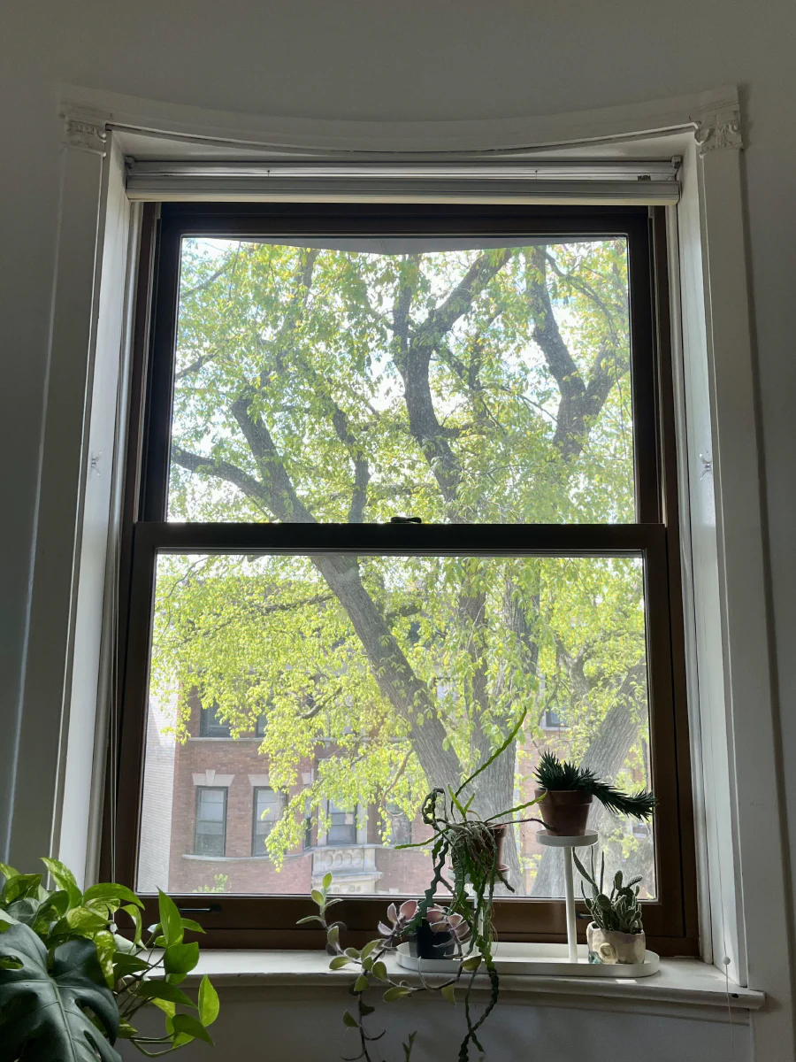 View from our window